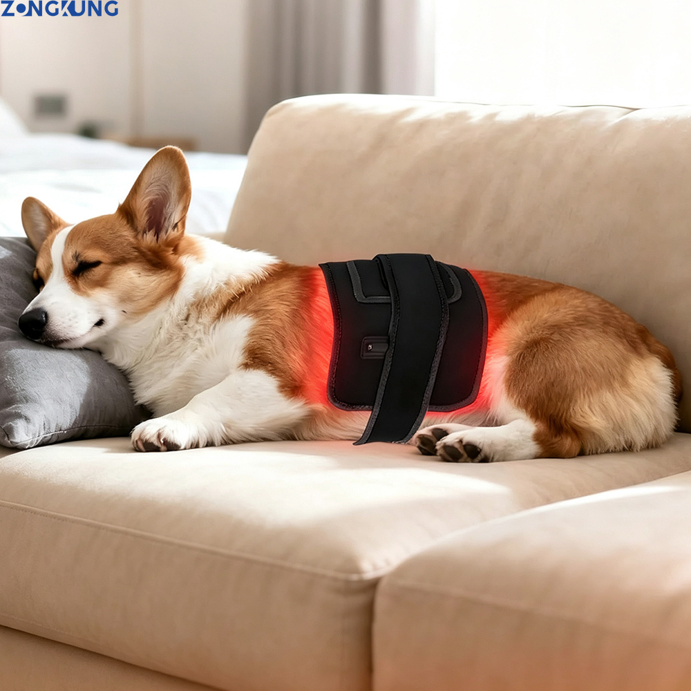 Red Light Therapy for Pets Vet - Galvanic Skin Sensor review and price